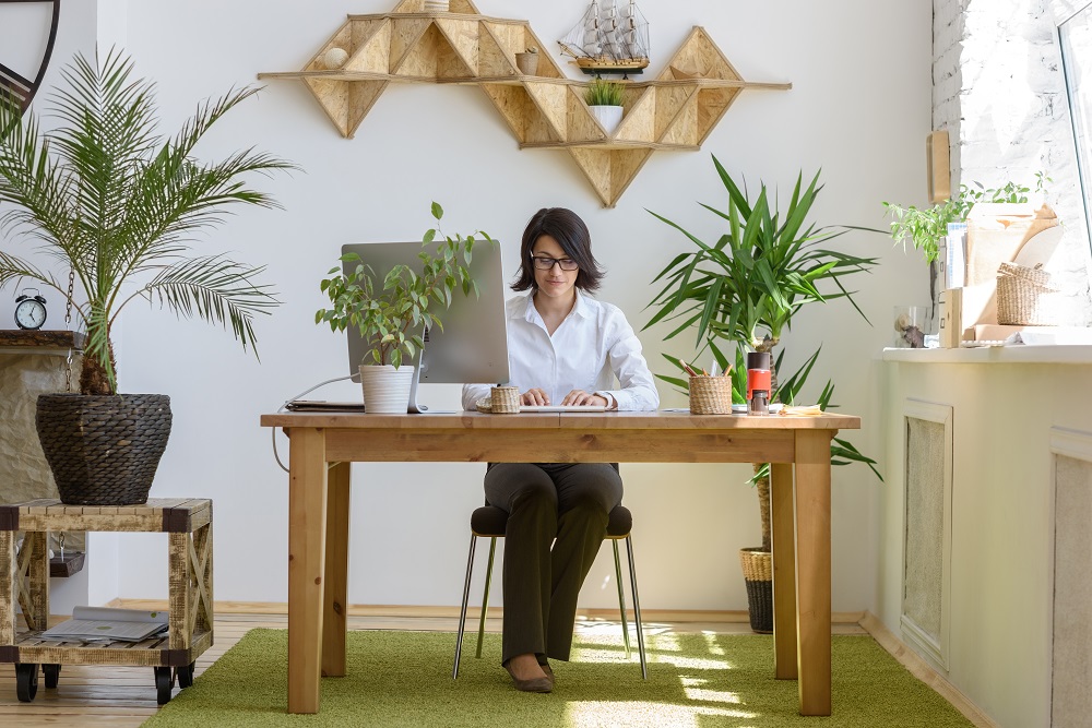 Cut the Chaos Out of Your Business Cut the Chaos Out of Your Business